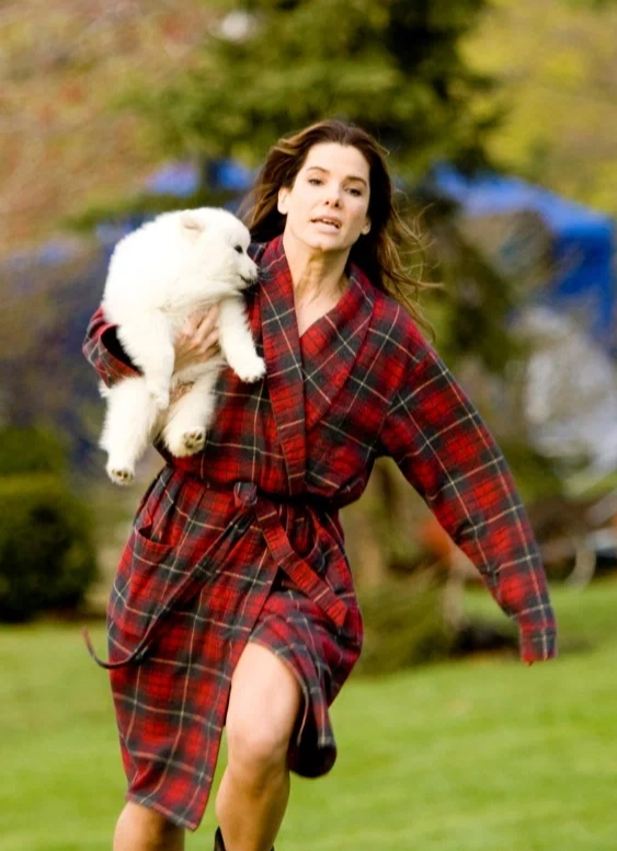 Кинопоказ на крыше «Предложение»