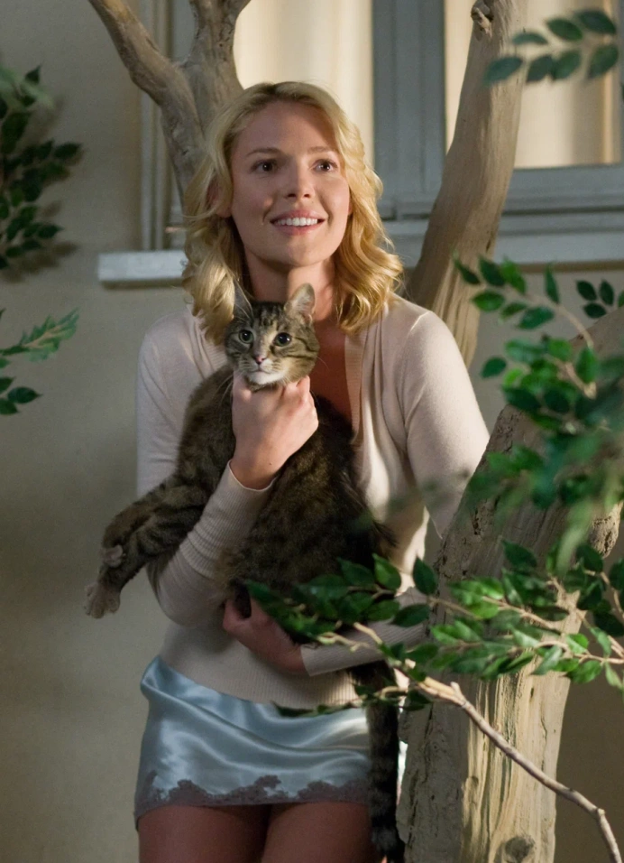 Кинопоказ на крыше «Голая правда»