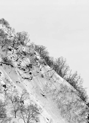 Дальше Дальнего