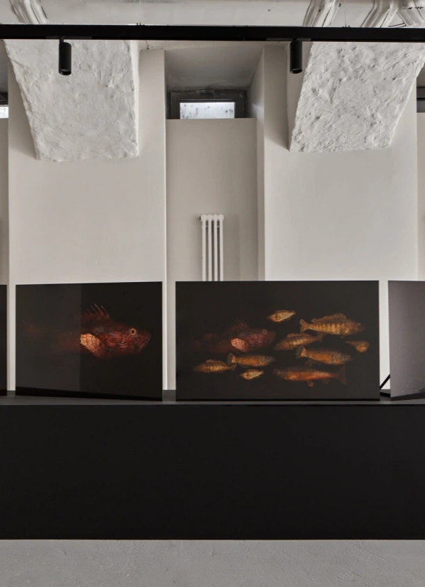 Миф.Безграничный (MYTH.Unlimited)