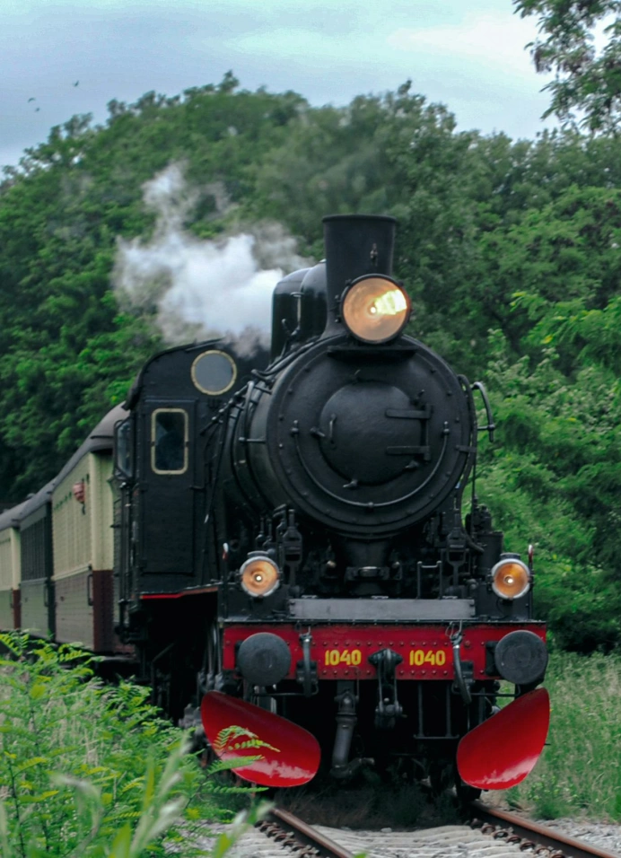 Билет на поезд: Америка