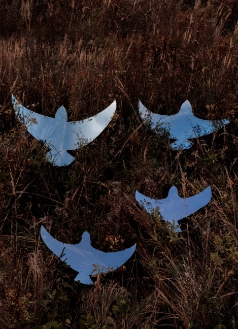 С точки зрения неба