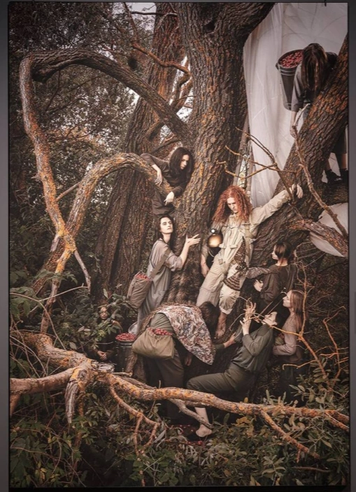 Вечное барокко. Из XVII в XXI век