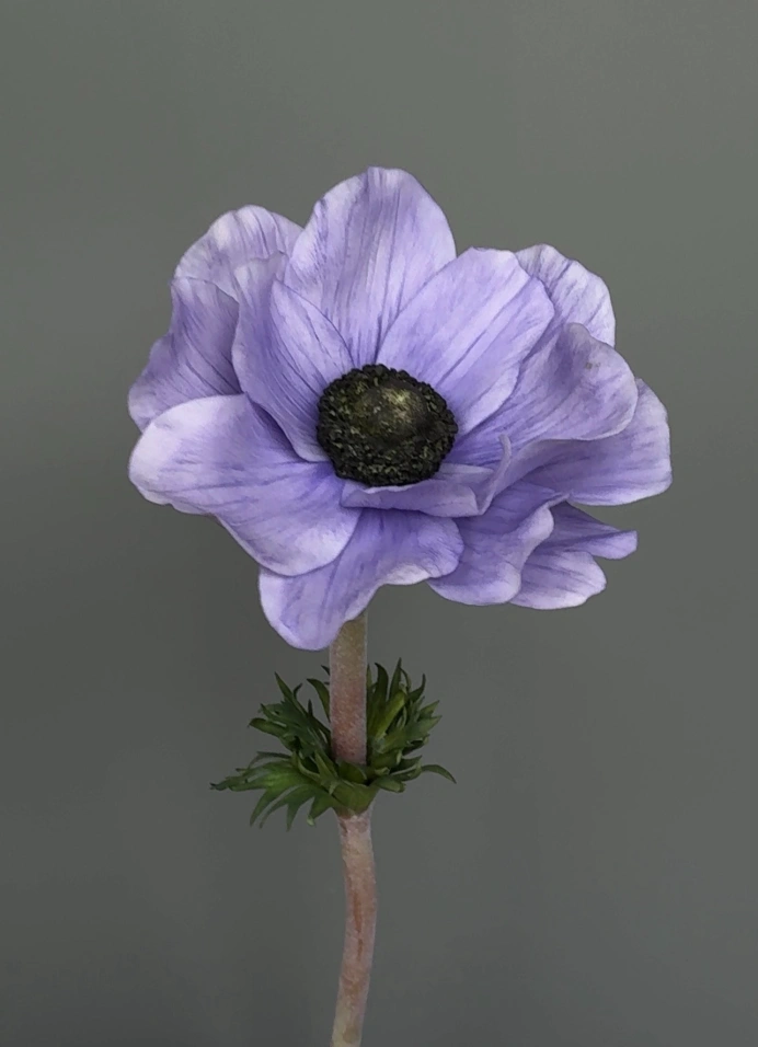 Фарфоровый цветок