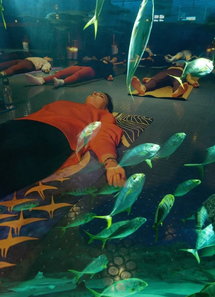 Хатха-йога в ночном океанариуме