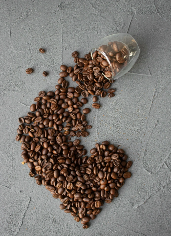 Москва за чашечкой кофе: необычные кофейни и дегустация