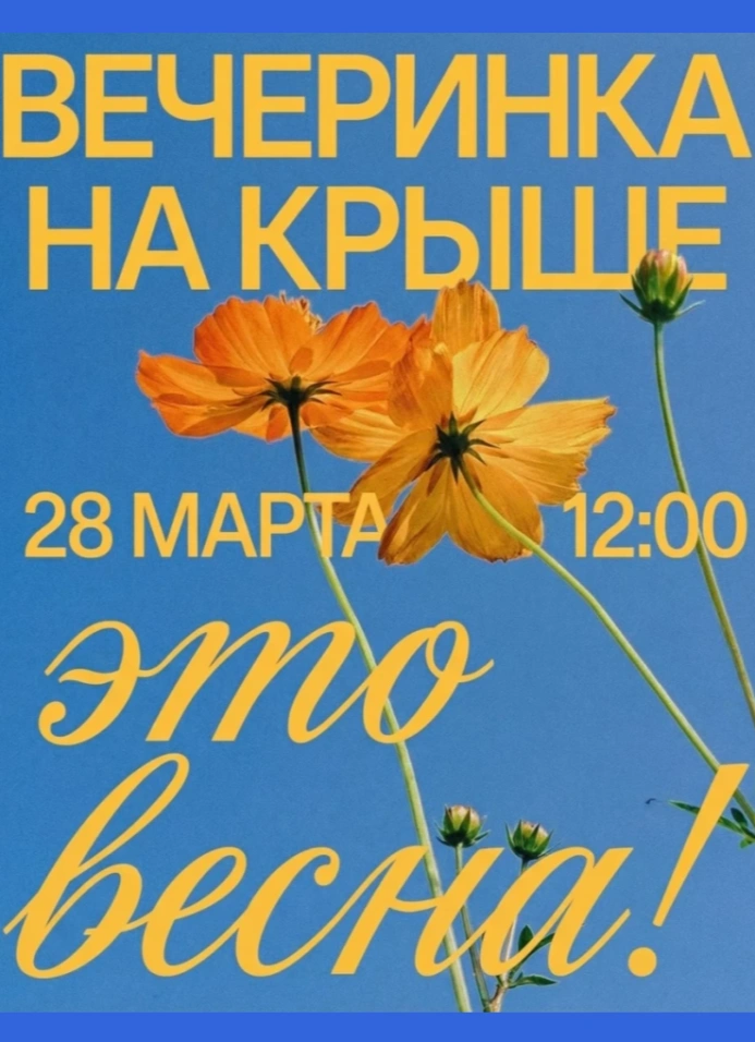 Дневная вечеринка на крыше