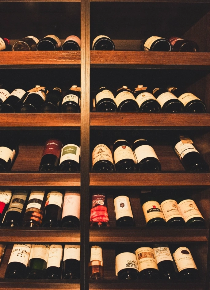 Дегустация сыра и вина