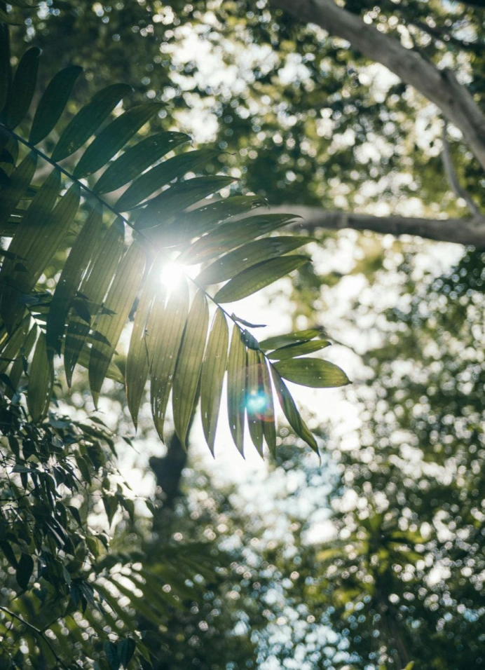 Моя Мата Хари