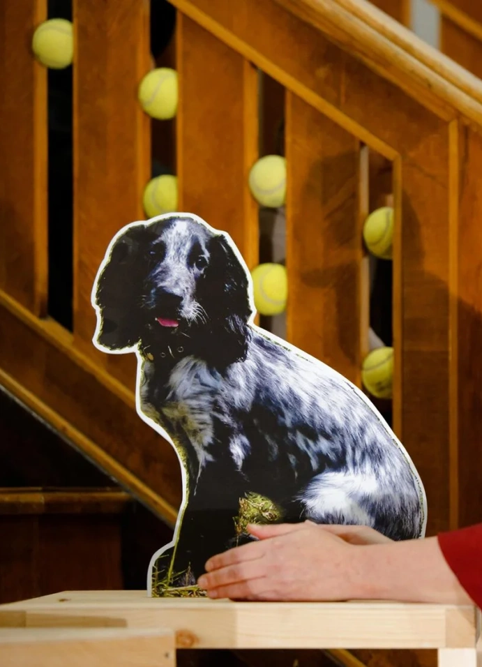 Коты, коровы, собаки и другие люди