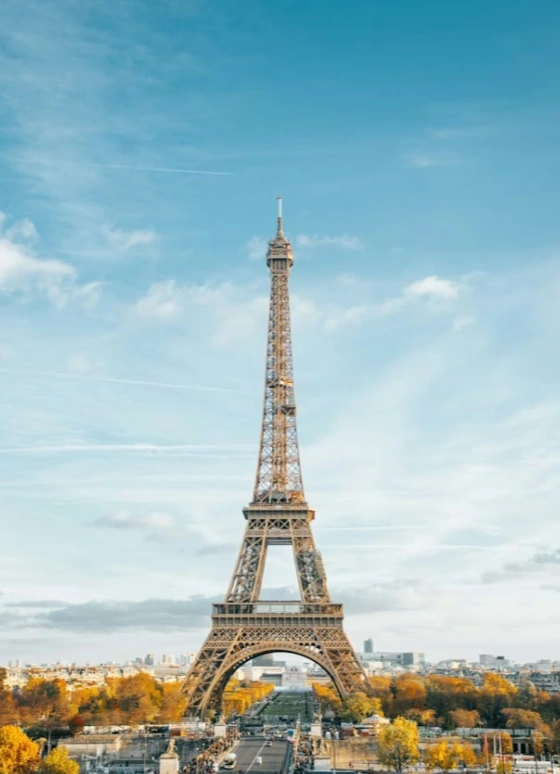 Любовь и французские песни