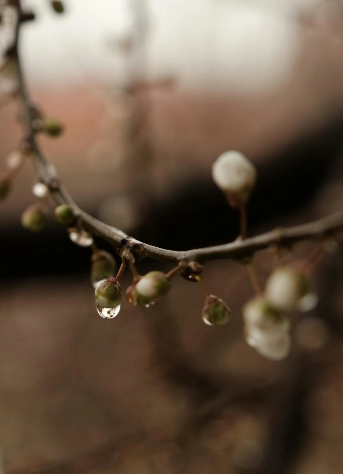 Психология весны в кино