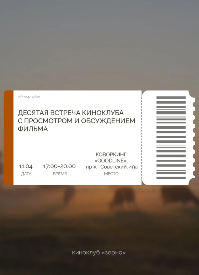 Встреча киноклуба и просмотр фильма «Красная черепаха»