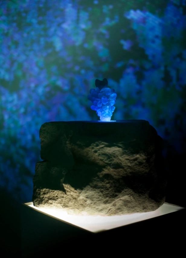 ОльФактор: ароматы и обоняние в современном искусстве