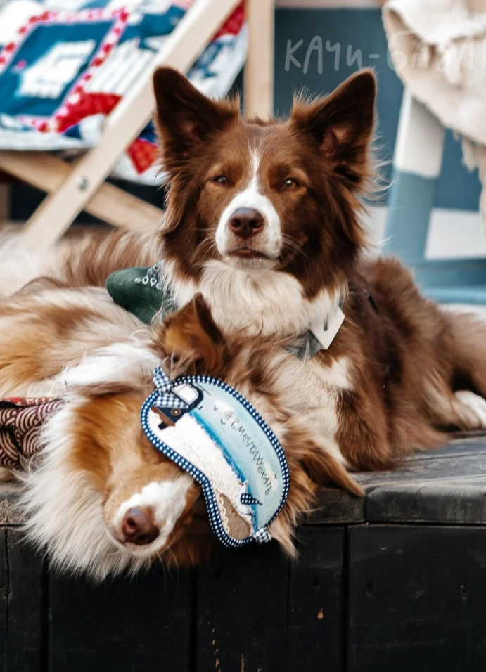 Морской фестиваль Качи-Базар