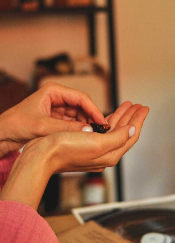 Сырно-шоколадные трюфели ручной работы + какао-церемония