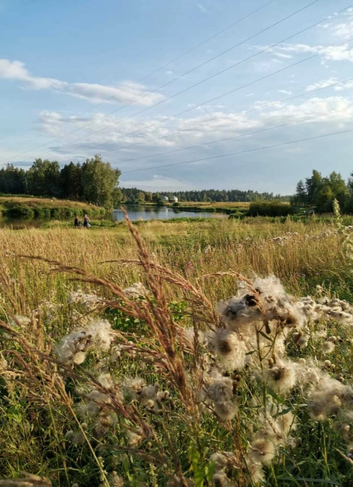 Некрасовская сказка