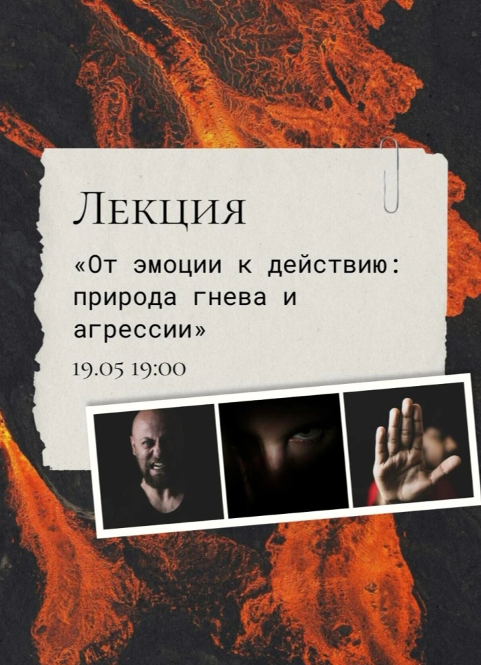 От эмоции к действию: природа гнева и агрессии