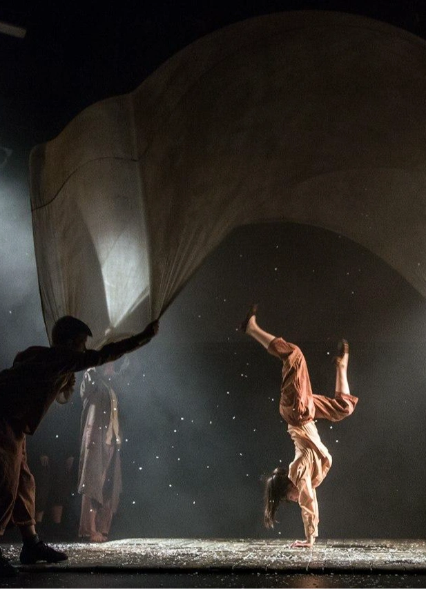 Новый цирк (Nouveau cirque): как изобрести цирк заново